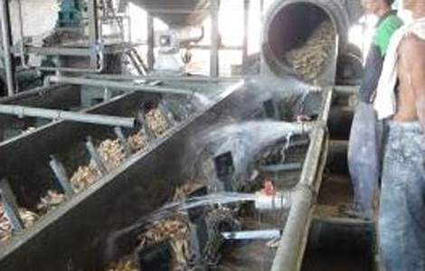 sweet potato starch processing machine