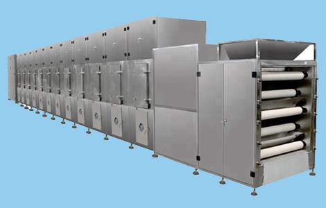 Cassava Chips Processing Equipment