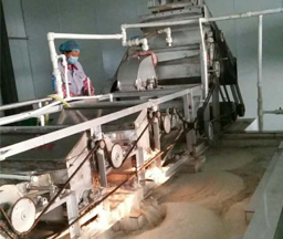 Hebei 150Tons/day Input Sweet Potato Starch Plant