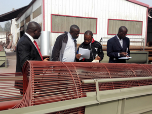 Potato Washing Machine-Potato Washer