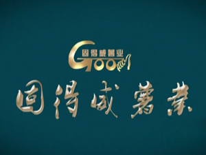 Goodway Company Profile