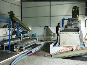 Cassava Starch Extraction Machine