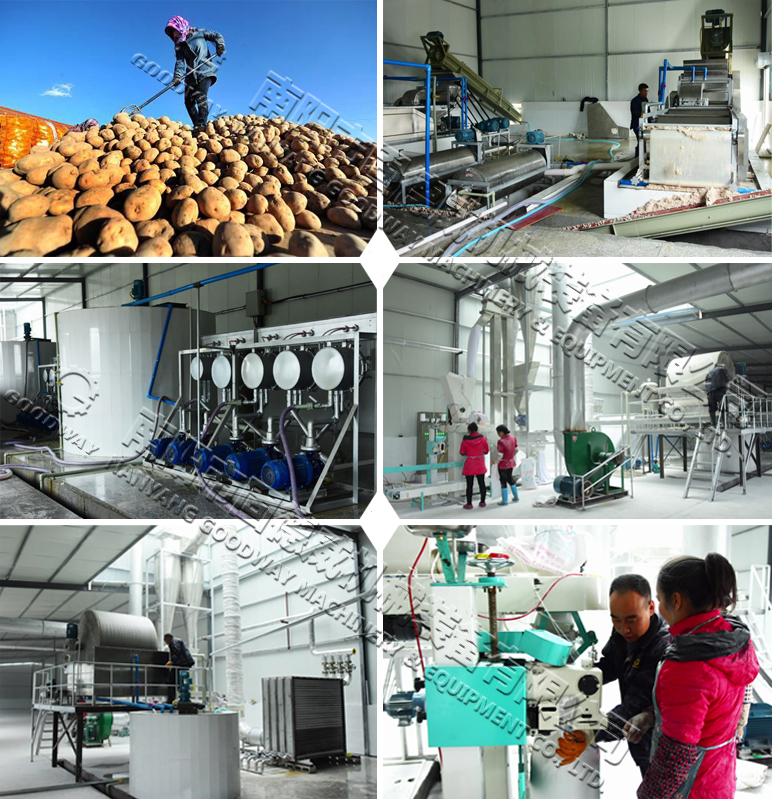 potato starch processing plant