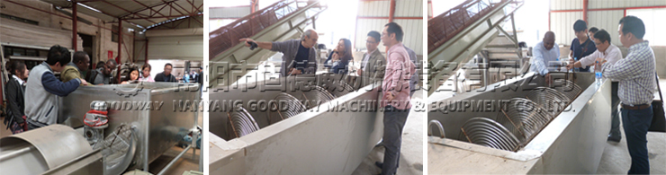 Cassava Peeling Machine
