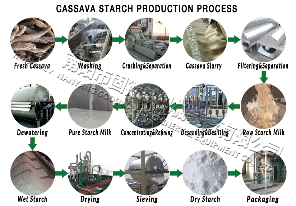 cassava starch production process