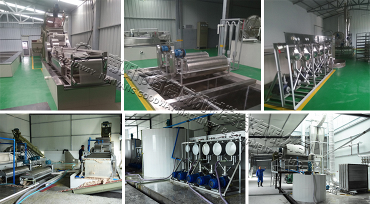 Starch Processing Machine