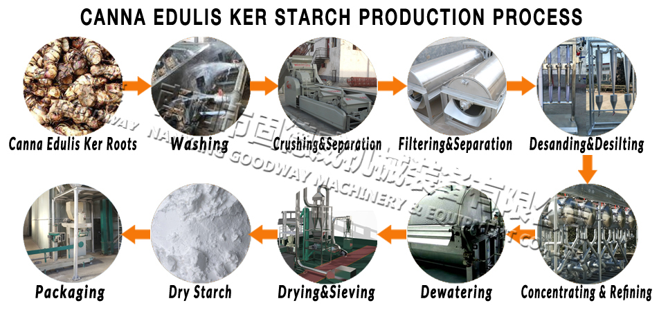 canna edulis ker starch production process