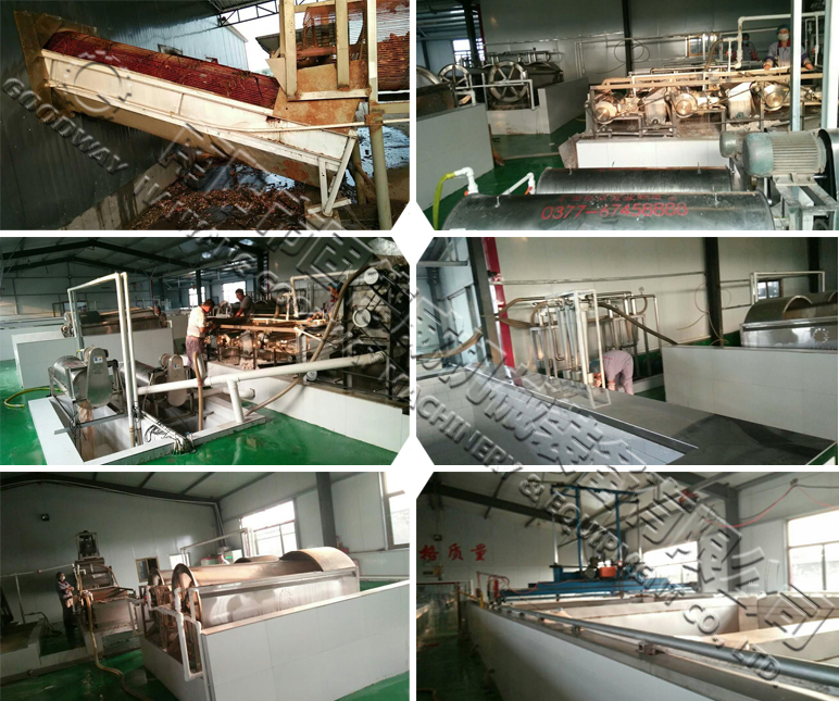 sweet potato starch processing plant