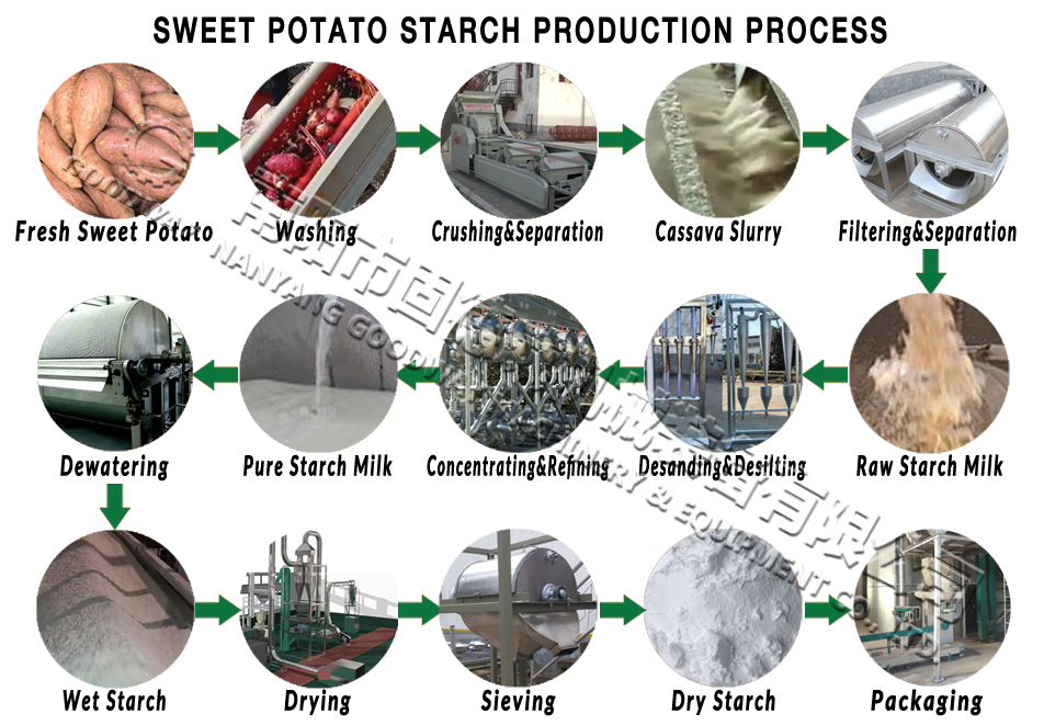 SWEET POTATO STARCH PRODUCTION PROCESS