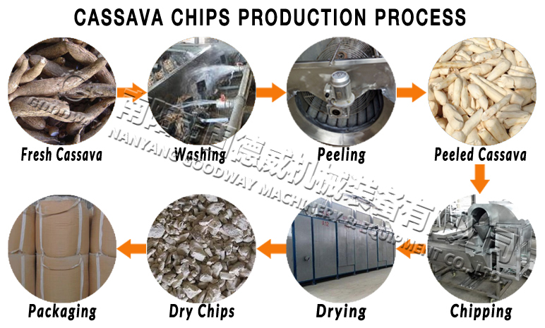 Cassava Chips Production Process