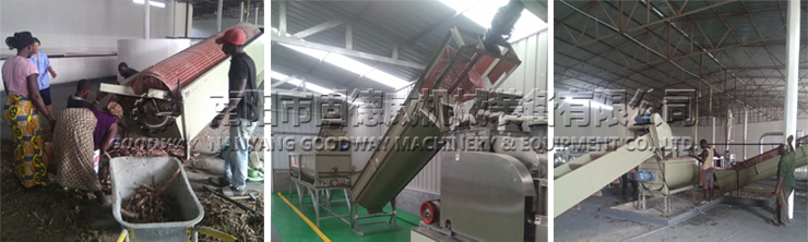 cassava washing machine.jpg