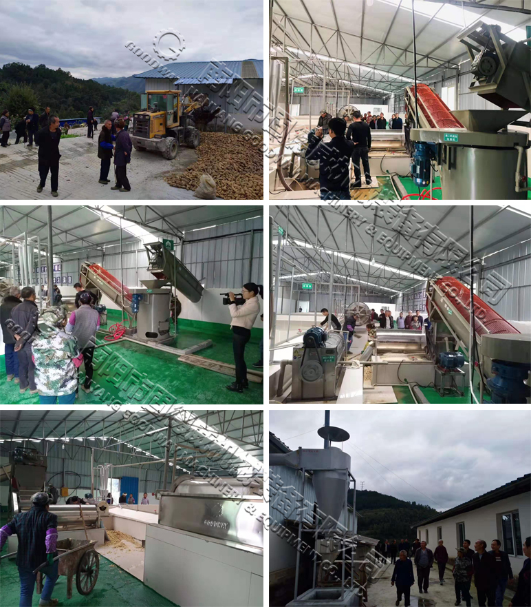 Sweet Potato Starch Processing Plant
