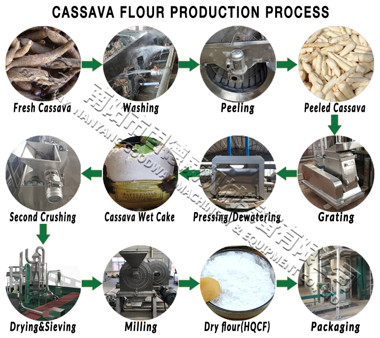 CASSAVA FLOUR PRODUCTION PROCESS