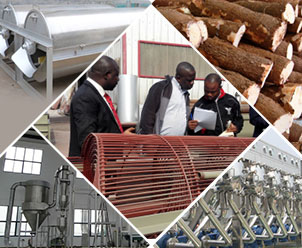 Cassava Starch Processing Machine