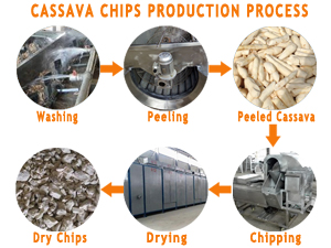 Cassava Chips Processing Machine